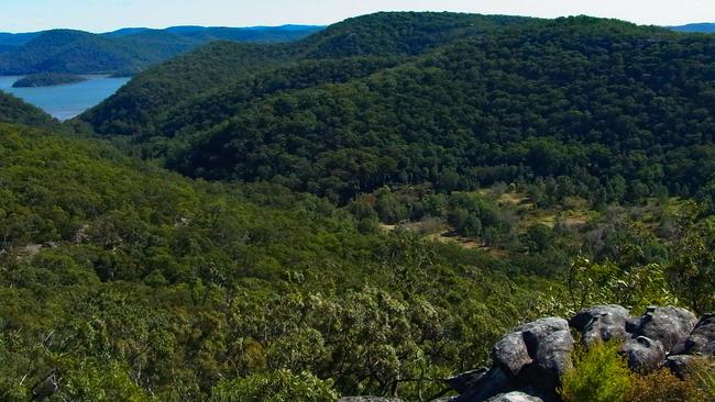 View into Peats Crater from the surrounding ridge line within Muogamarra Nature Reserve