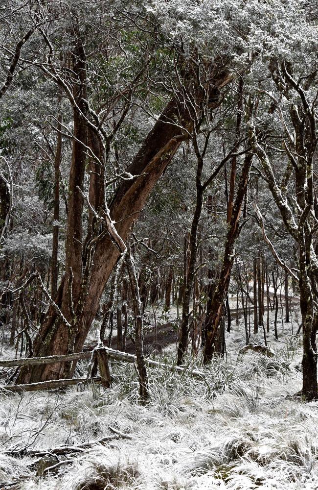 Snow on Mt MacKenzie in 2015. Picture: Neale Maynard