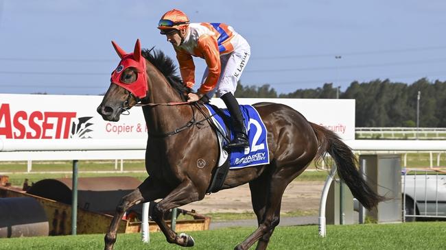 Cuban Rain can end the day on a high note at Kembla. Picture: Bradley Photos