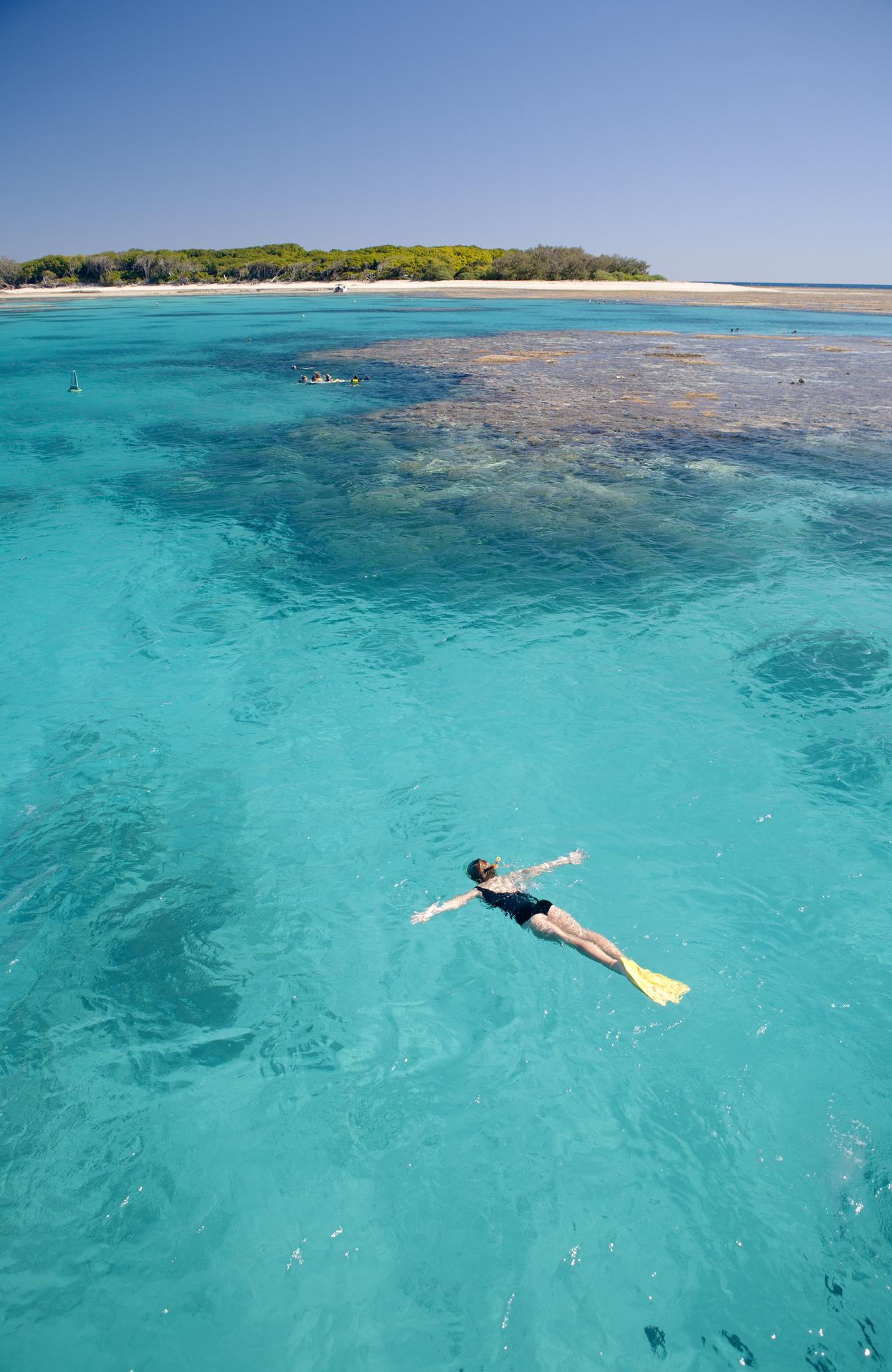 Camping on Lady Musgrove Island on Queensland’s Southern Great Barrier ...