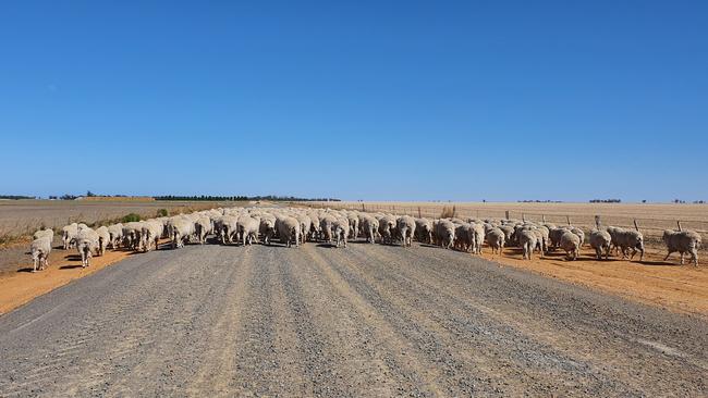 VFF president David Jochinke says there’s plenty of food.