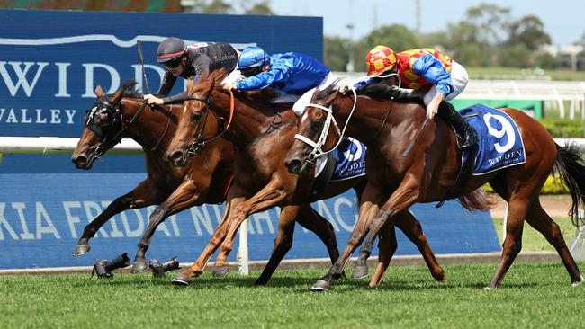 The Playwright (rails) holds off Tempted (centre) and Snitzel Miss to win the Widden Stakes at Rosehill. Picture: Jeremy Ng/Getty Images