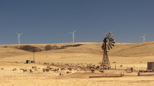 “We are already the driest state in the driest continent, we have among the highest needs to innovate.” - Prof Seth Westra