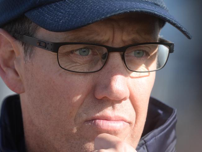 Waverley Blues coach Bryce McGain. Picture: Chris Eastman/AAP