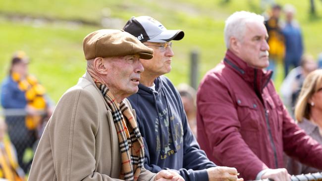 Don Scott watches the Hawks train in September. Picture: Mark Stewart