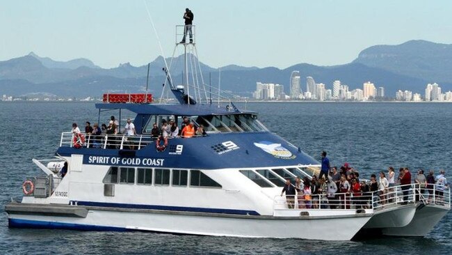 The Spirit of the Gold Coast whale watching boat. Picture: Facebook