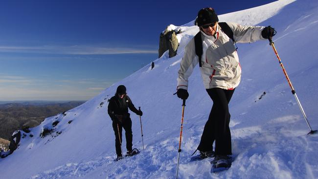 Snowshoeing gives walkers a different perspective on the slopes.