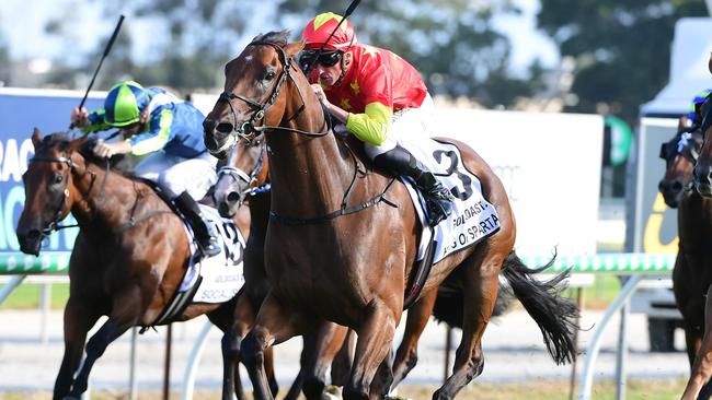 King Of Sparta has a fitness edge on some of his rivals and can go back-to-back. Picture: Trackside Photography