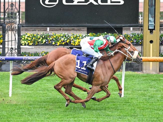 Rise At Dawn (NZ) ridden by Celine Gaudray wins the RDAV Mary Longden Mile at Flemington Racecourse on June 08, 2024 in Flemington, Australia. (Photo by Reg Ryan/Racing Photos via Getty Images)