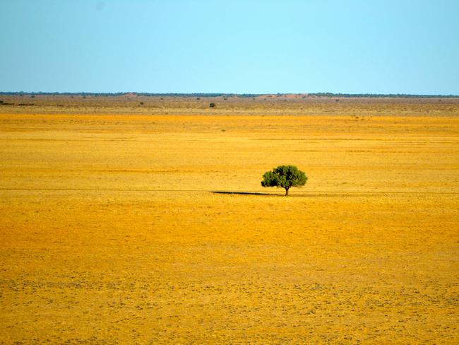 Much-needed relief ... Meteorologists say 2016 will deliver a welcome reprieve for farmers.