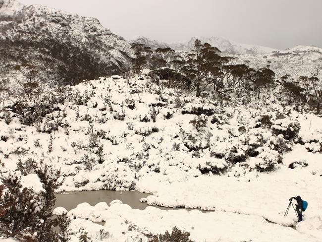 Photographer David Murphy taking photos in the snow at Cradle Mountain. Picture: Garth Smith
