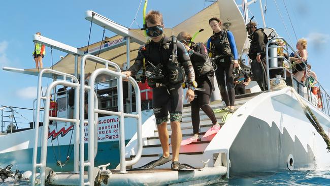 Crown-of-Thorns starfish no longer a problem for FNQ divers on Great ...