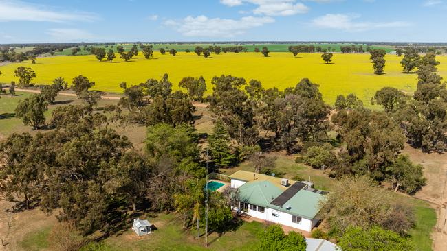 Patrick and Anna O’Donohue are selling the two-farm Karingal Aggregation, located at Bunnaloo NSW.