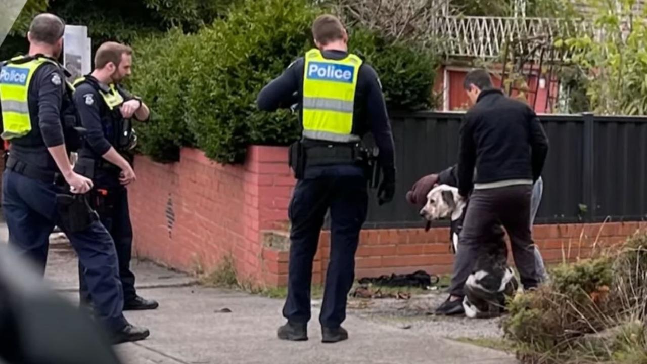 A woman in her sixties has lost an ear, after she was dragged several metres by a dog during a horrific attack at Bulleen. Picture: 7news