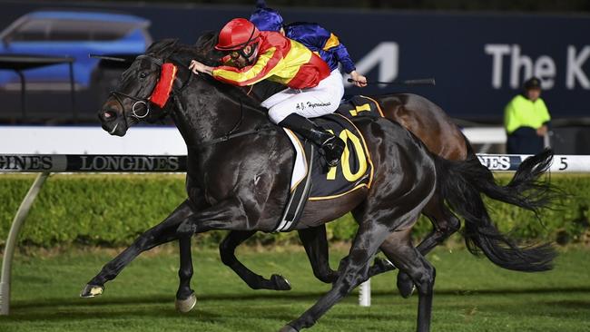 Chief Conductor can add another Canterbury win to his record on Wednesday. Picture: Bradley Photos
