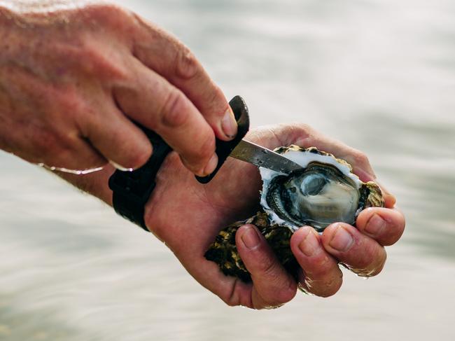 OysterPhoto - Adam GibsonEscape20 February 2022Destination - East Coast Tasmania by Kerry Heaney from magazine