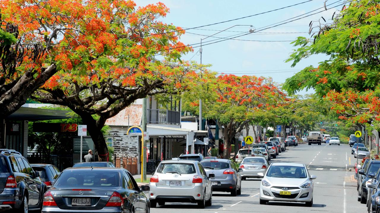 Red flowering trees in Brisbane are so hot right now | The Courier Mail