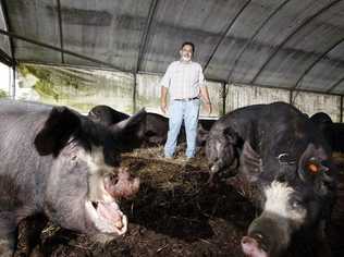 Coorabell pork farmer John Singh. Picture: Jerad Williams