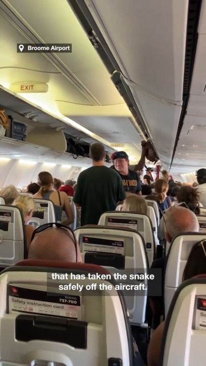 Disney TV star removes snake from a plane | The Mercury