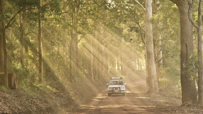 The fire is burning close to ancient forests and farmland along WA’s southern coast. Picture: Nick Rains