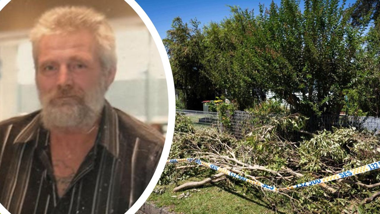 Man dead in alleged neighbourhood spat over fallen tree