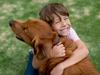 Owning a pet has many health benefits for kids. iStock image. For Kids News Hibernation
