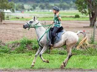 READY FOR THE CHALLENGE: Noah Hoogland, riding his horse Steel Poppy Hot Chocolate, is one of the record number of juniors competing at this week's Tom Quilty Gold Cup. Picture: Sarah Sullivan Photographer