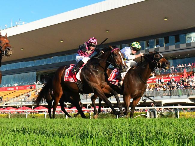 Champion jockey James McDonald on Sunshine In Paris edges out local hero Rothfire in a thrilling Group 1 Doomben 10,000. Picture: Grant Peters-Trackside Photography.