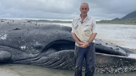 Mount Julian resident Allan Connell in front of the whale. Photo: Estelle Sanchez