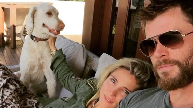 Chris Hemsworth and Elsa Pataky's beloved dog, Sunny. Picture: Instagram