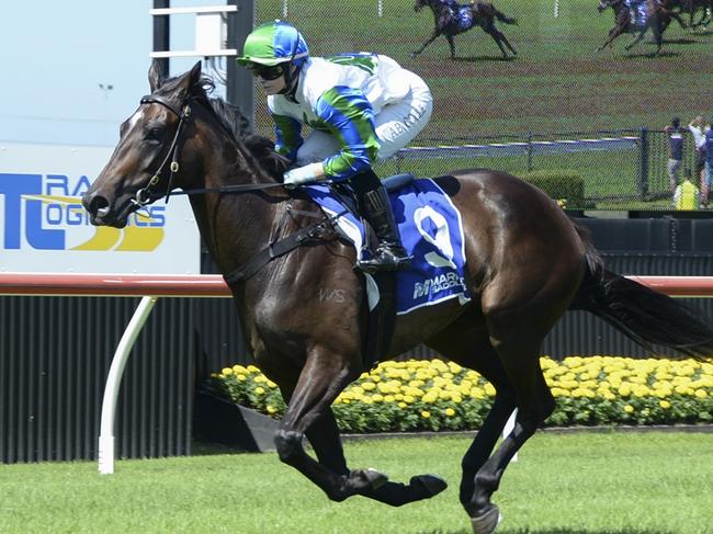 Fall For Cindy looks hard to beat at Warwick Farm on Wednesday. Picture: Bradley Photos