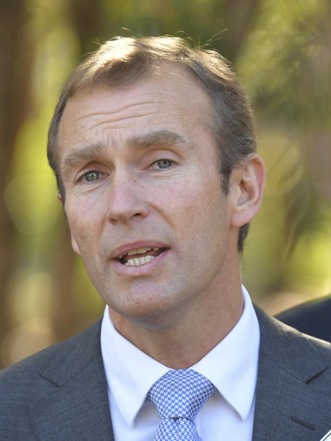 Rob Stokes warned the service would be cancelled if the community rejected it.