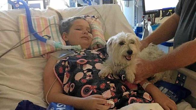 Abbie Sweeper, 10, receives a special visitor at the ICU in the Brisbane Children's Hospital. Picture: Facebook