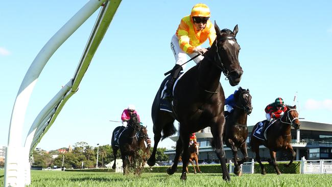 Agarwood, ridden by Adam Hyeronimus, dominates her rivals at Royal Randwick on Saturday. Picture: Jeremy Ng / Getty Images