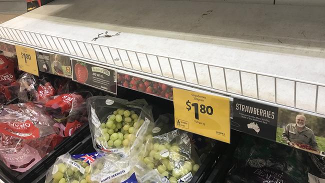 Empty shelves, normally stocked with strawberry punnets, at a Coles Supermarket. Picture: AAP/Dan Peled