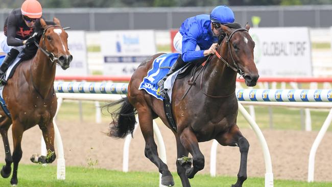 Aleppo Pine ridden by Jye McNeil wins the The Courier Handicap at Ballarat