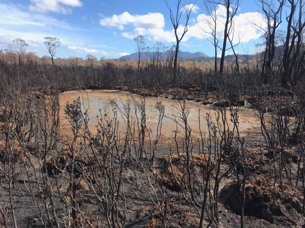 The burnt remains around a small pond from the Gell River fire. Picture: NSW RFS