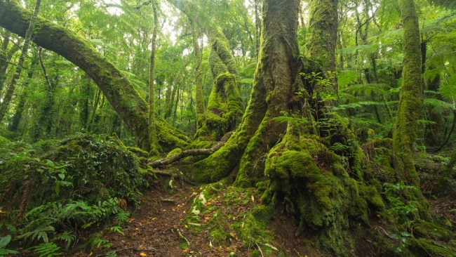 Best hikes in Queensland: Gold Coast day trips to waterfall walks ...