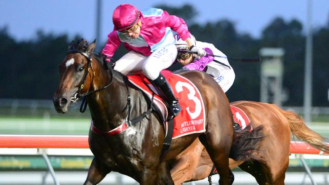 Baccarat Baby will be hard to beat in The Roses at Eagle Farm. Picture: Grant Peters, Trackside Photography