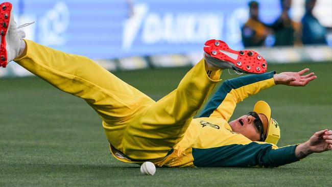 Adam Zampa dropped a sitter. (Photo by Brenton EDWARDS / AFP)