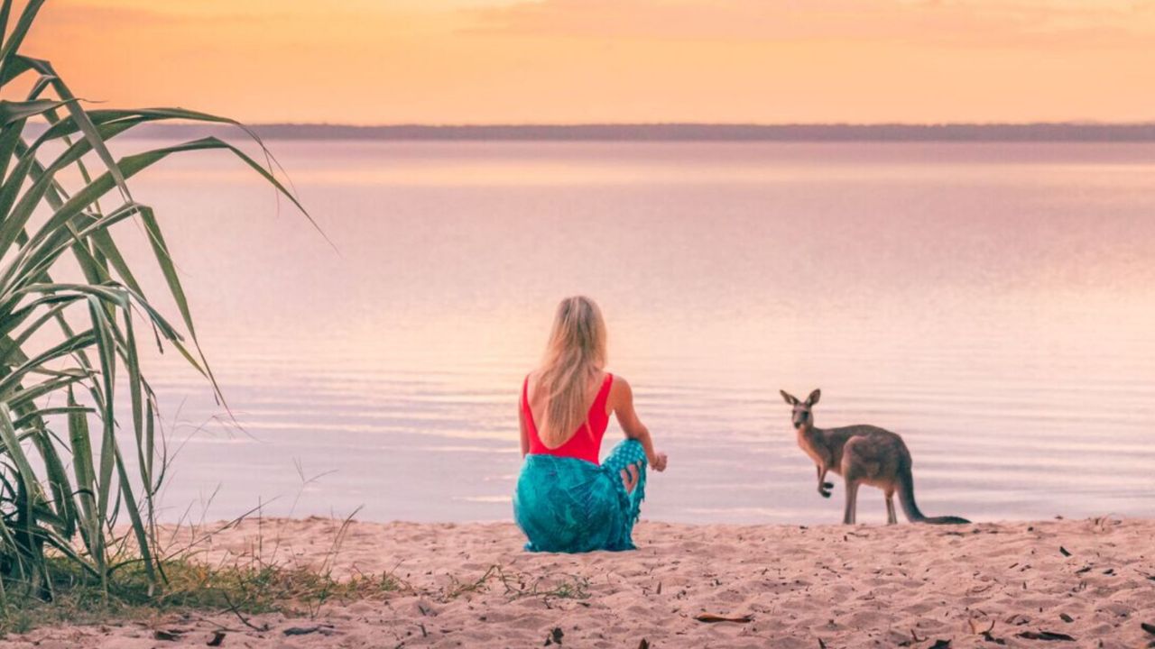 The Sunshine Coast’s Top 5 Camping Spots | Escape.com.au