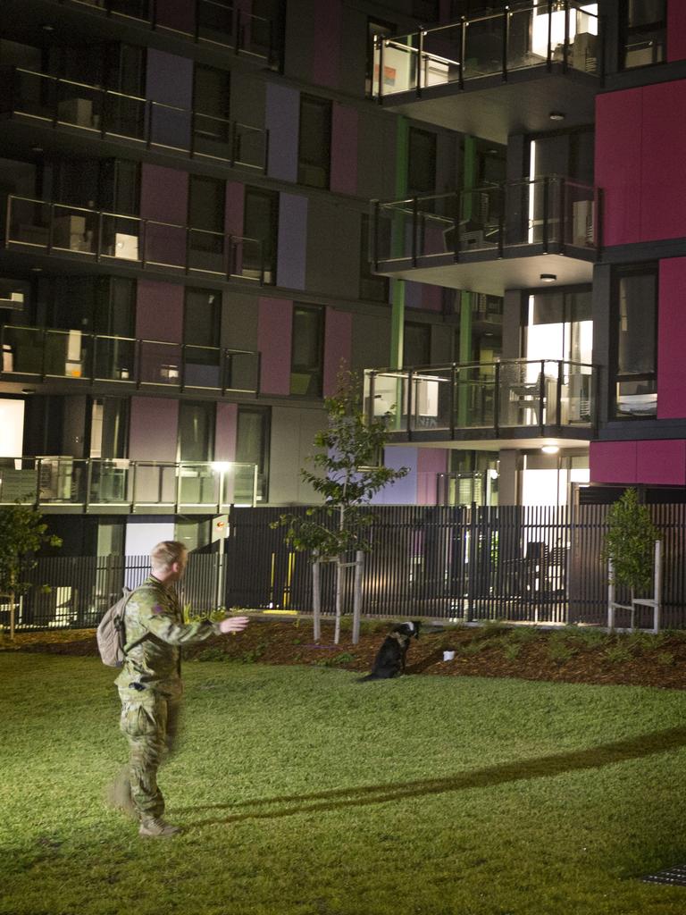 An Australian Army Explosives Detection Dog and Handler from the 2nd Combat Engineer Regiment conduct a search of the athlete’s village, as part of the Australian Defence Force’s support to the 2018 Commonwealth Games on the Gold Coast. PICTURE: Sgt. W Guthrie, Commonwealth of Australia, Dept. of Defence