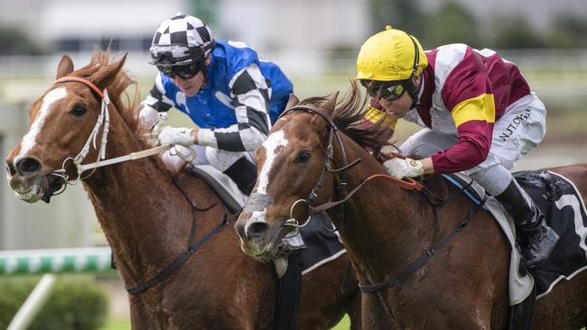 Owners will start to return to the track on from Wednesday. Picture: AAP