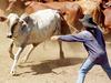 farm labour shortages