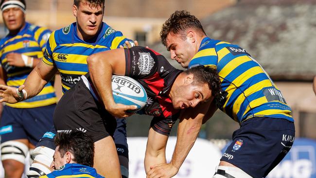 Shute Shield action between Norths and Sydney Uni.