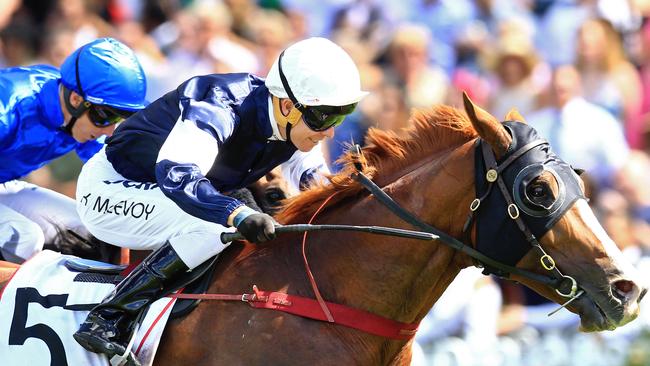The United States leads Lloyd Williams’ local charge for the Caulfield Cup. Picture: Jenny Evans