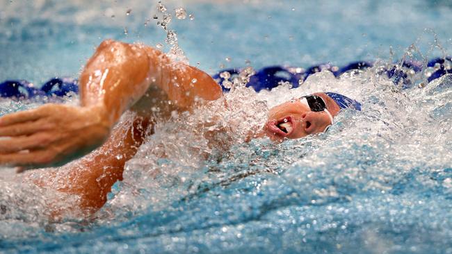 Grant Hackett says the discipline learnt in the pool is paying off in business. Picture Gregg Porteous