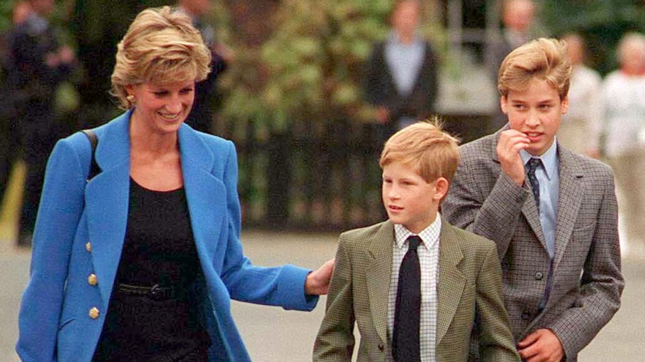 Harry says he and his brother had discussed a theory that Diana was still alive. Picture: Anwar Hussein/WireImage.