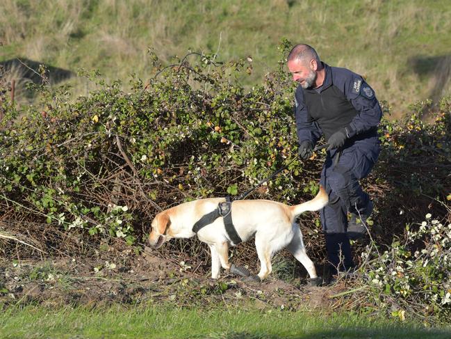 Missing Persons Squad detectives and a range of specialist police take part in the search. Picture: Ian Wilson