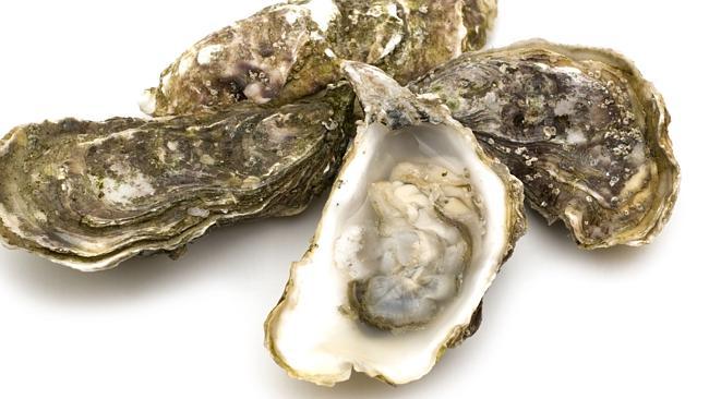  TASTE opened oysters 